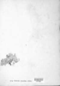 Nephromopsis cucullata image